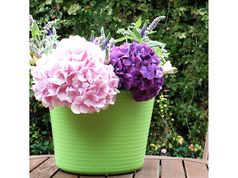 Tub Trug Pistachio Small 14L SP14PST